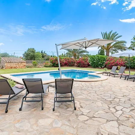 Cal Beato By Sealand