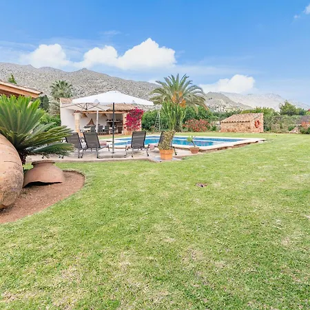 Cal Beato By Sealand Willa *