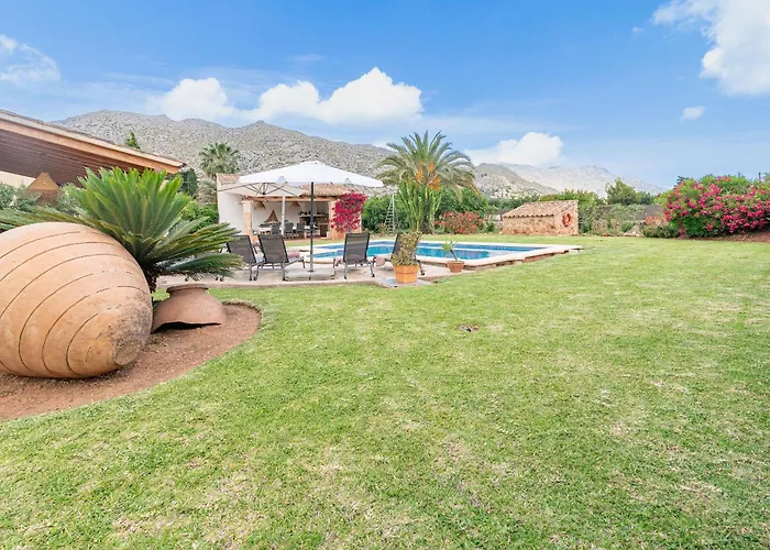 Cal Beato By Sealand Willa *