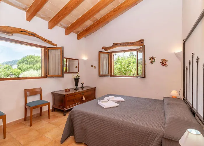 Cal Beato By Sealand Willa