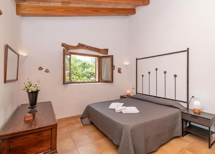 Cal Beato By Sealand Willa *